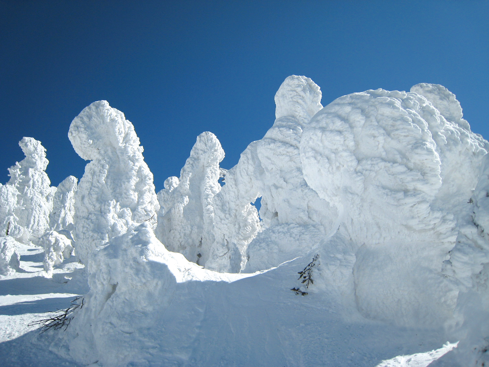 Outdoor Japan Magazine - Lodge Scole