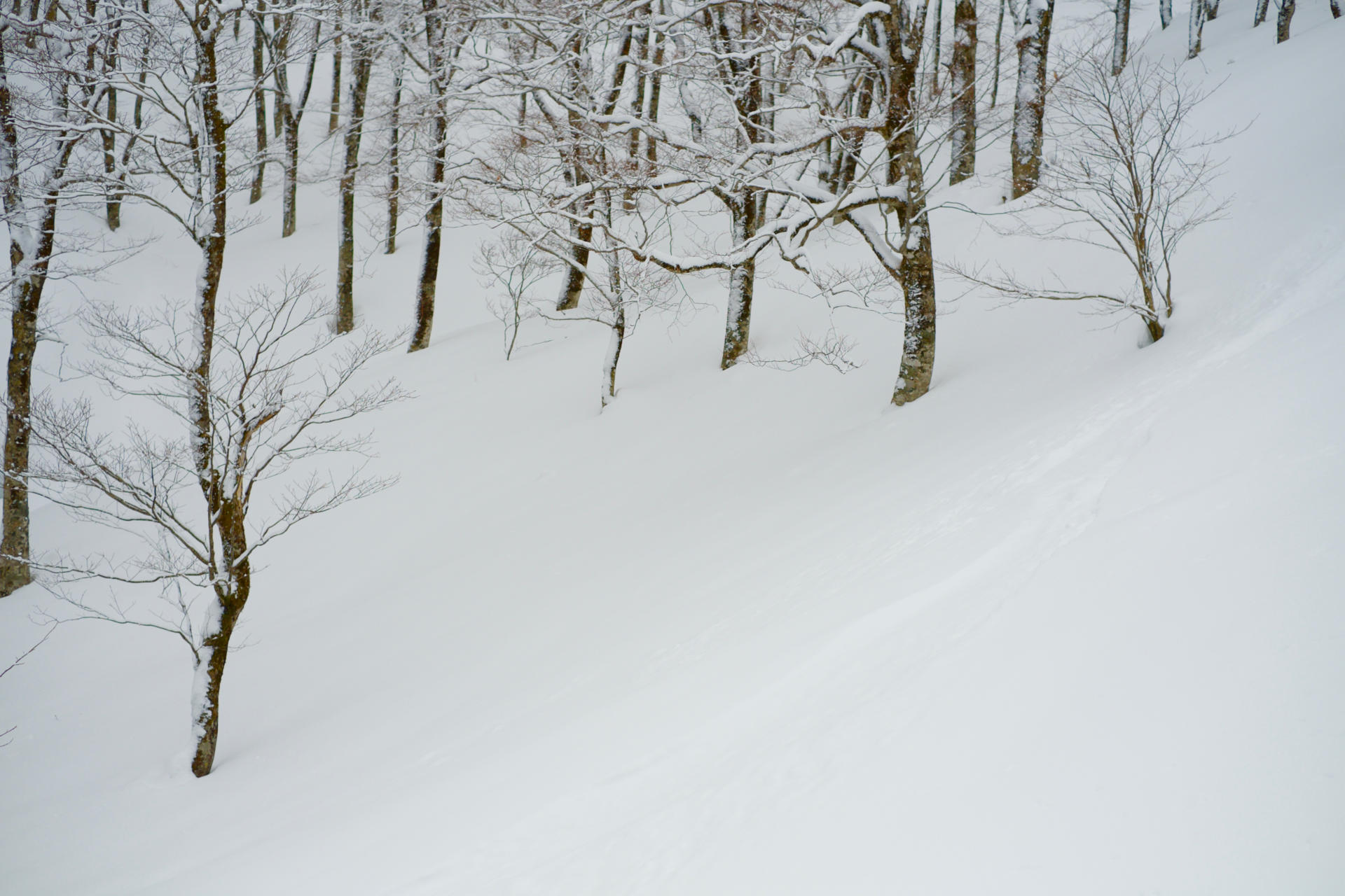 Tohoku Storm Chasing - Outdoor Japan