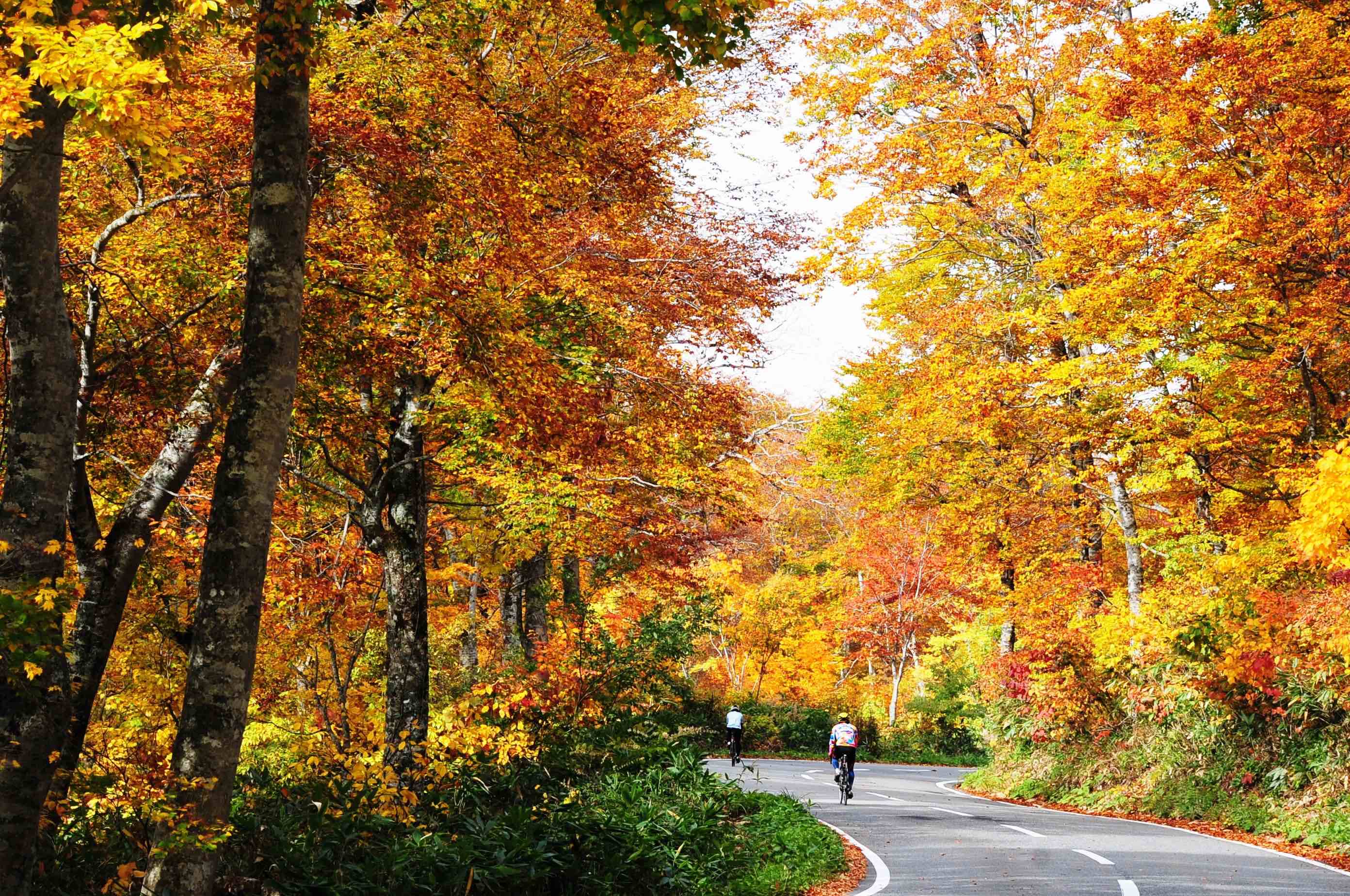 Okutadami: Cycling Through Autumn's Finest Colors