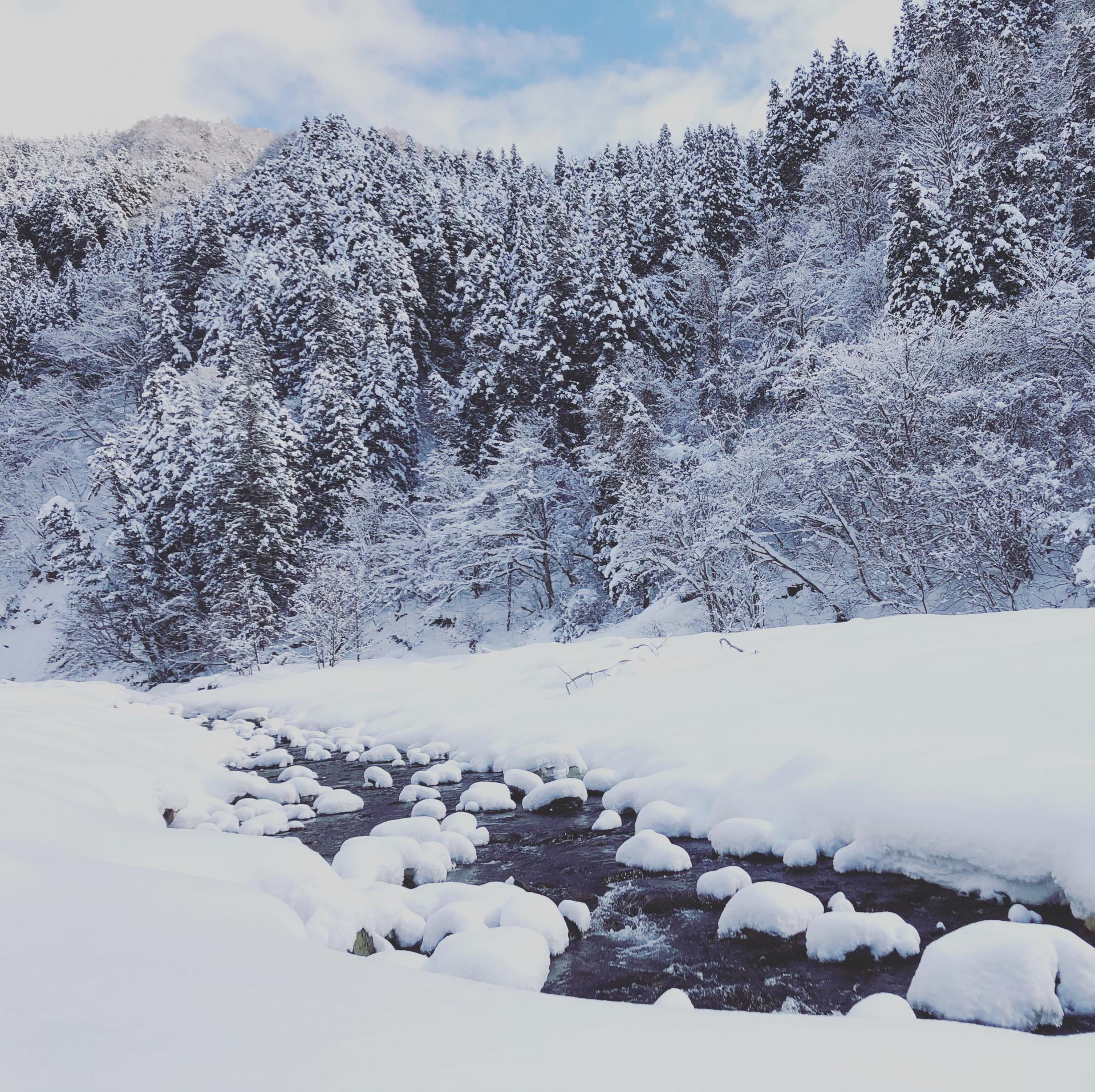 Wandering Nagano’s White World - Outdoor Japan