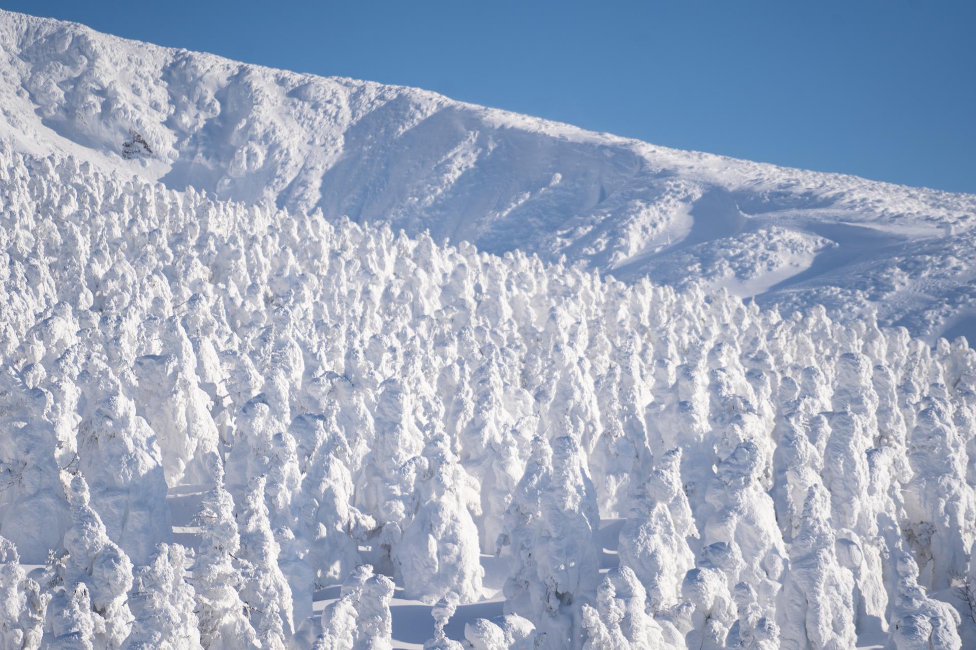 The Guardians of Zao - Outdoor Japan