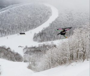 Finding Fresh in Fukushima